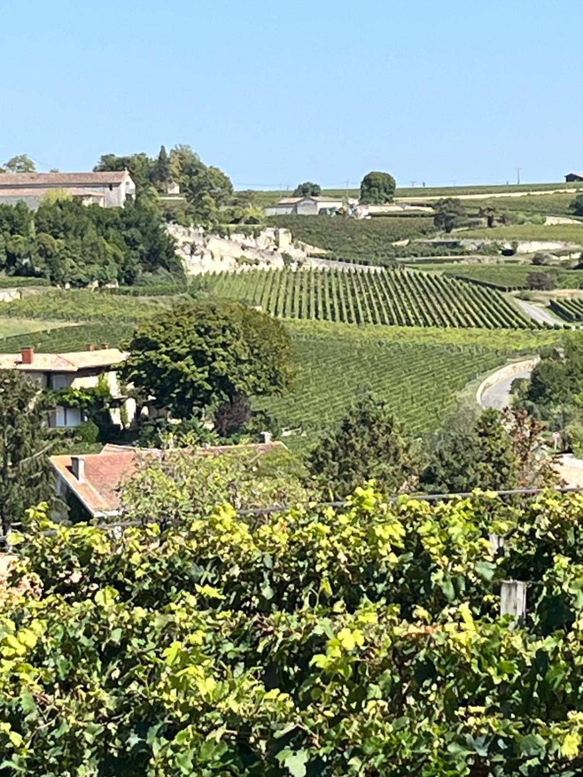 Les Logis Des Vignobles Saint Emilion En Duplex N 2 Avec Terrasse Leilighet Eksteriør bilde